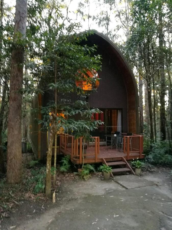 Springbrook Mountain Chalets Eksteriør billede