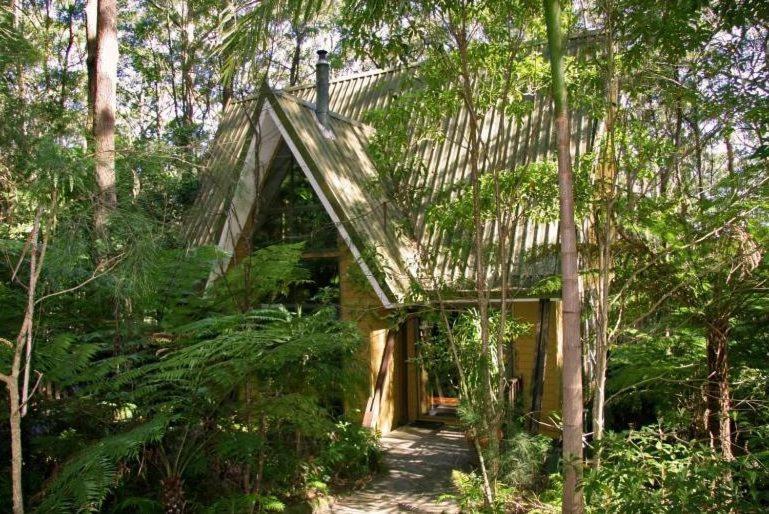 Springbrook Mountain Chalets Værelse billede