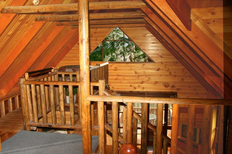 Springbrook Mountain Chalets Værelse billede