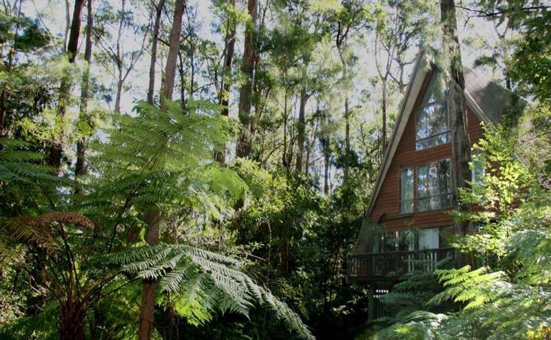 Springbrook Mountain Chalets Eksteriør billede