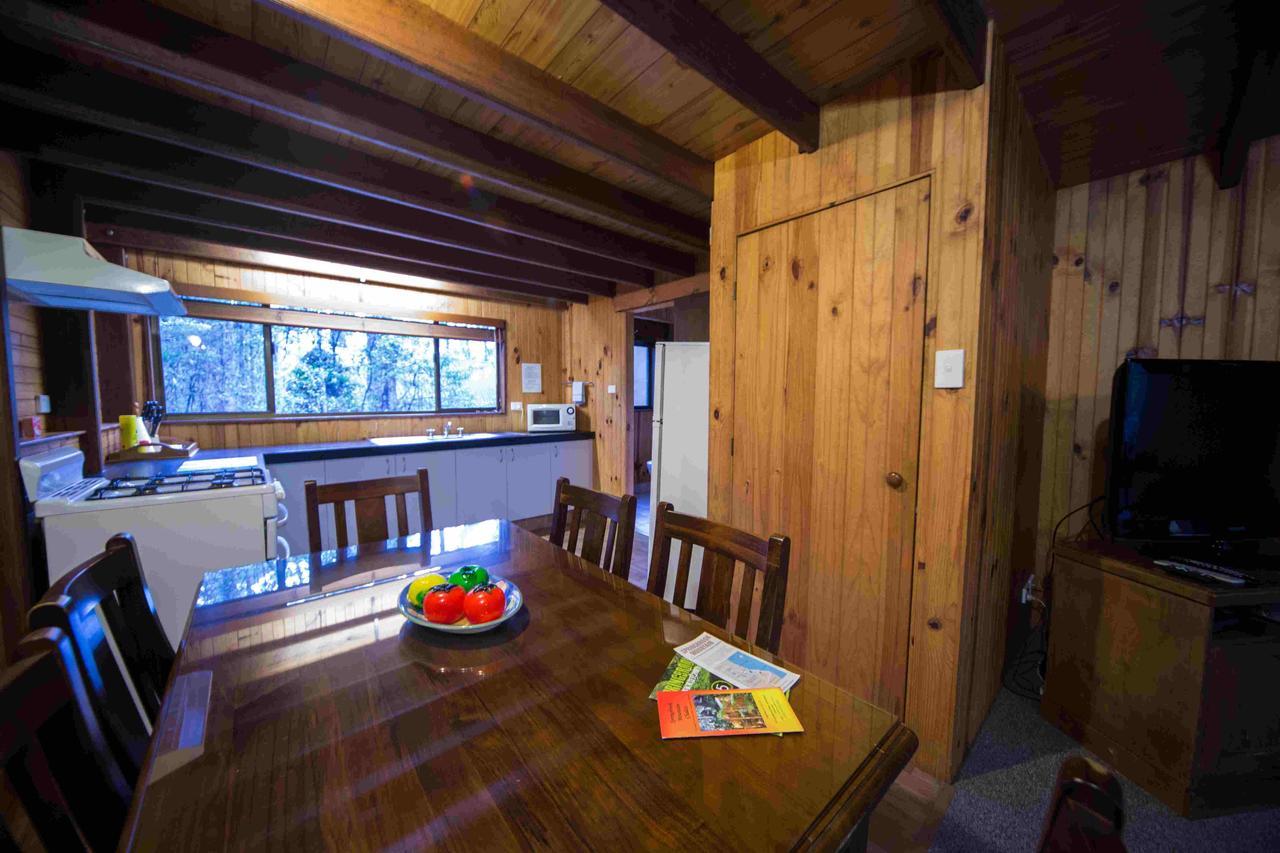 Springbrook Mountain Chalets Værelse billede