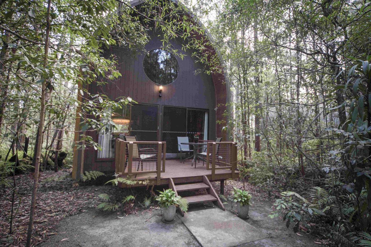 Springbrook Mountain Chalets Værelse billede