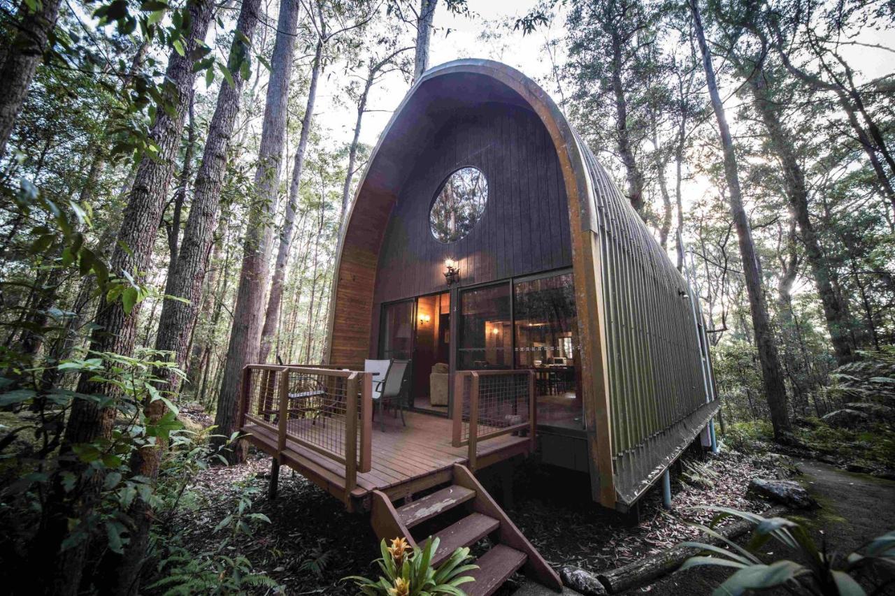 Springbrook Mountain Chalets Eksteriør billede